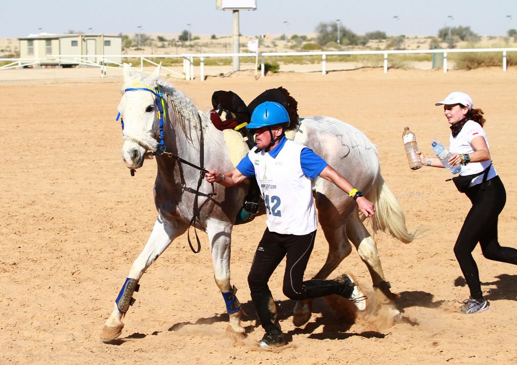 Sukces mieszkańca Wilkowa na rajdzie konnym w Dubaju